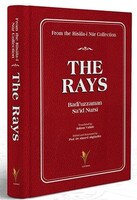 Islamitische Universiteit Rotterdam (İUR) - The Rays